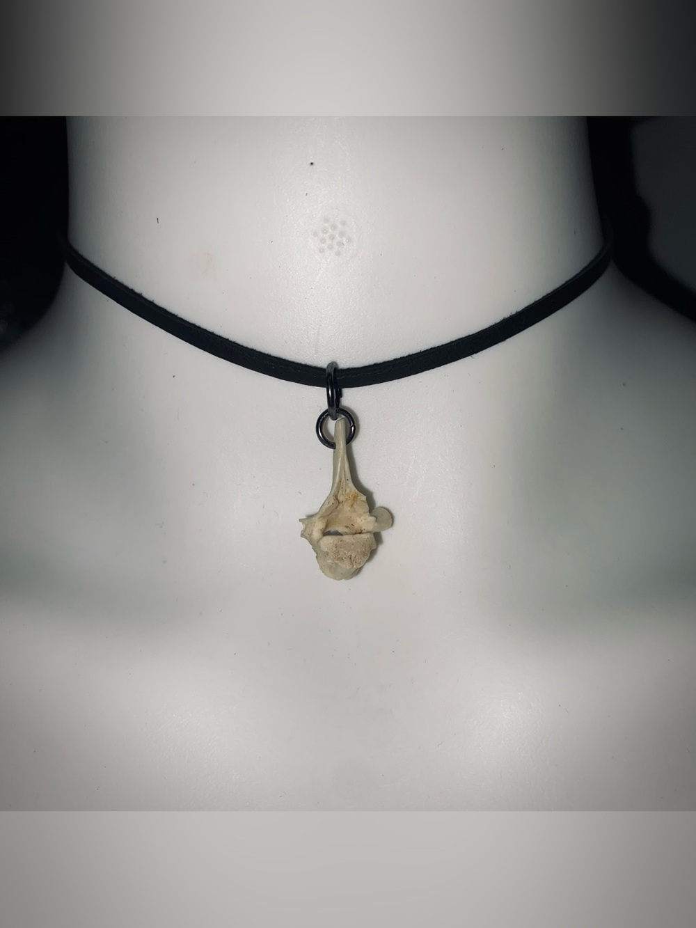 possum vertebrae bone choker
